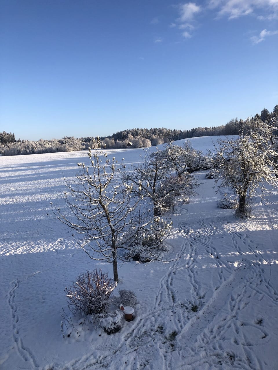 Snow and ski sports
