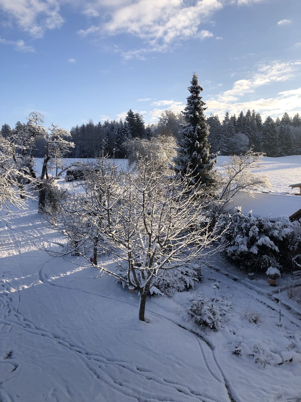 Snow and ski sports