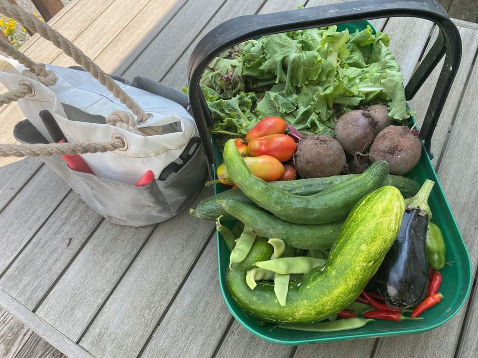 A sample of vegetable harvest available to guests.