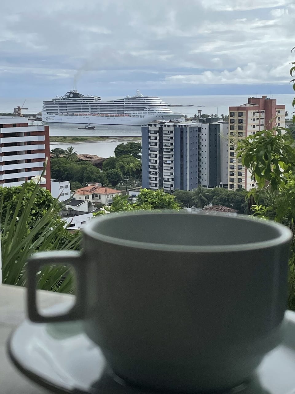 View from property