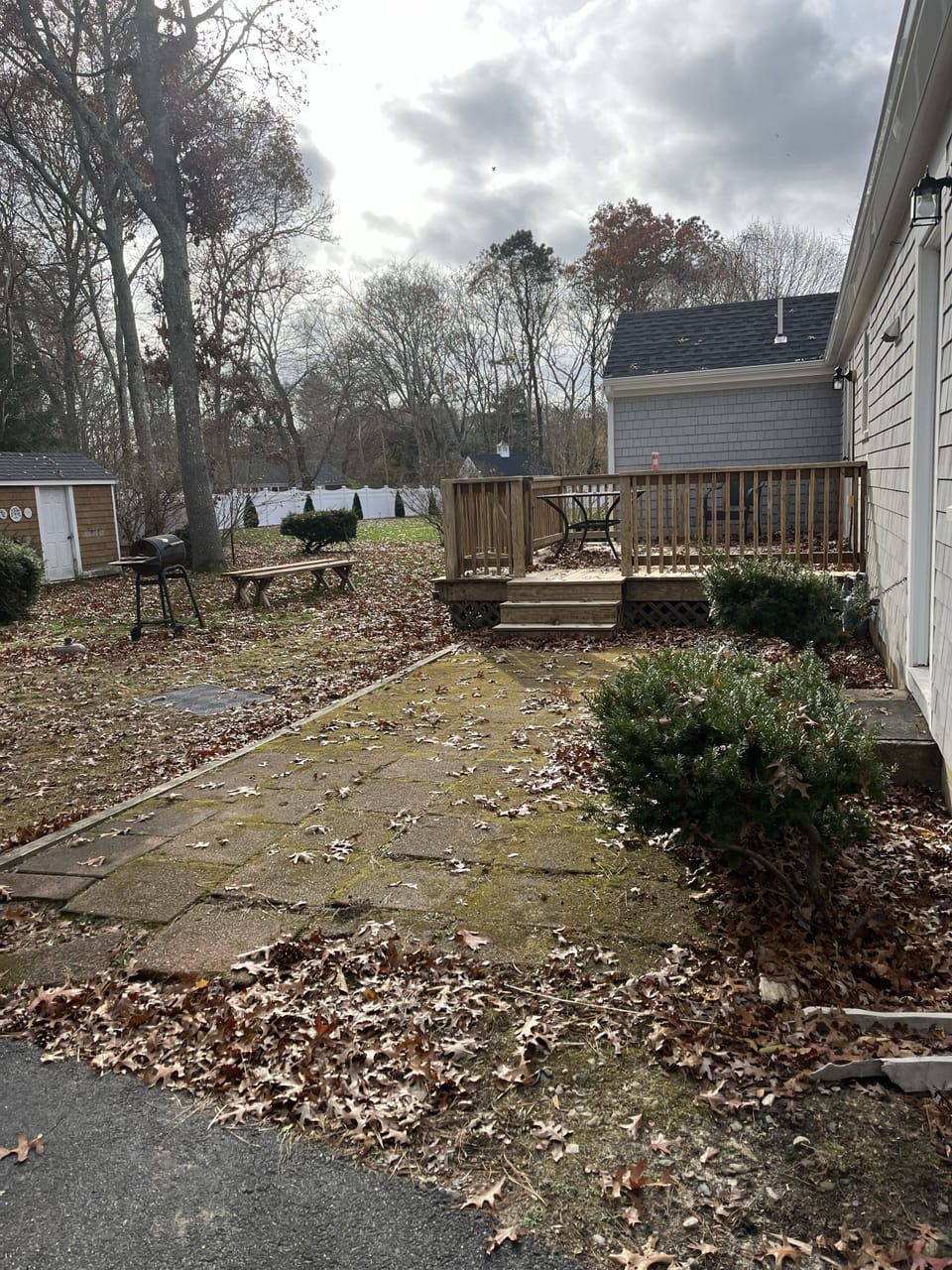 back yard