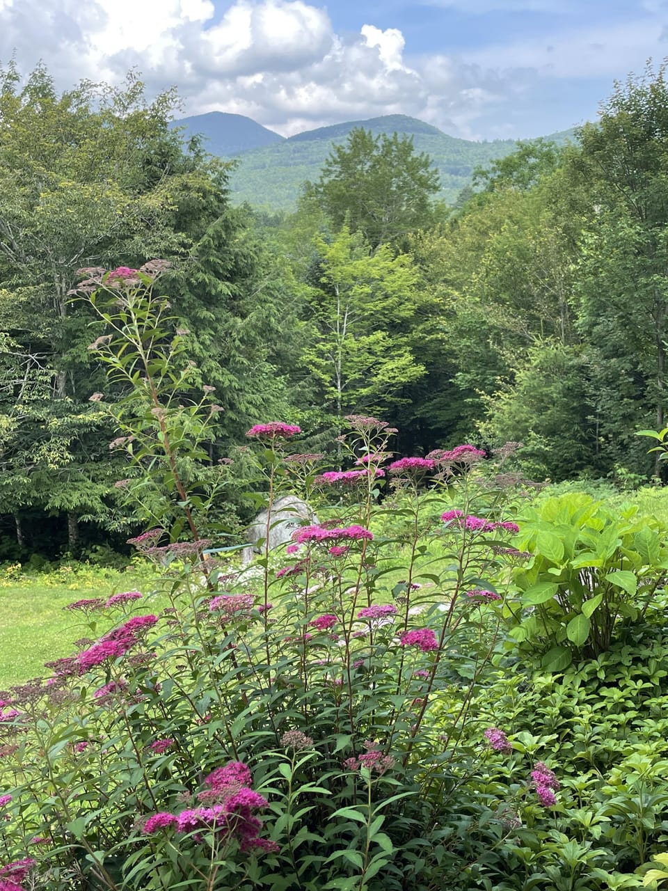 View of Mount Washington
