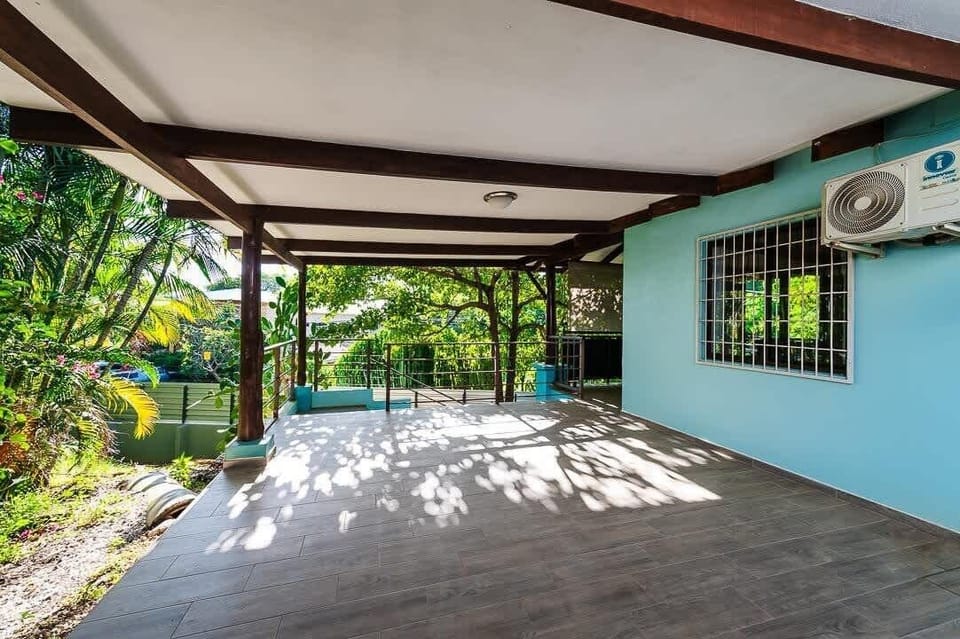 Step into this airy space where nature peeks through every window.
