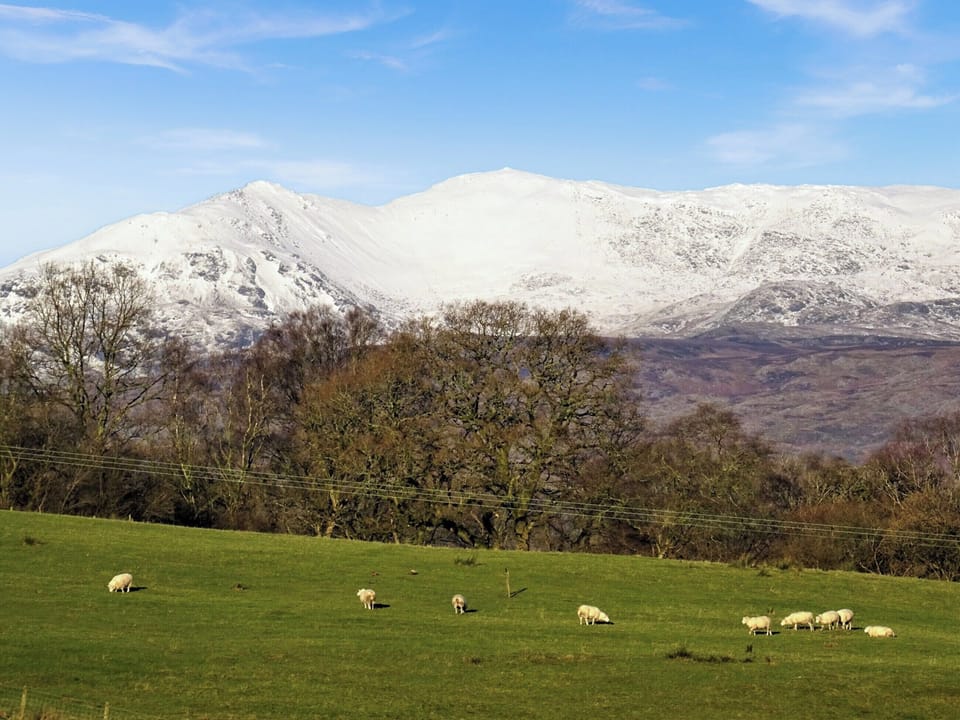 Surrounding area | Plas Madog, Parc, near Bala