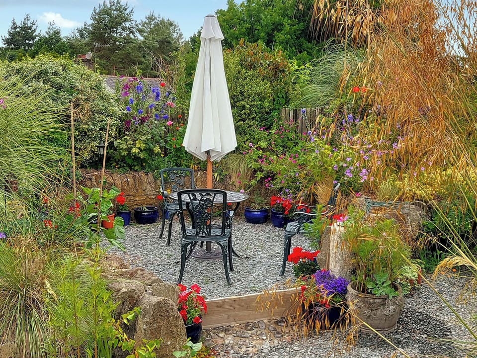 Patio | Little Forda, Chillaton, near Tavistock
