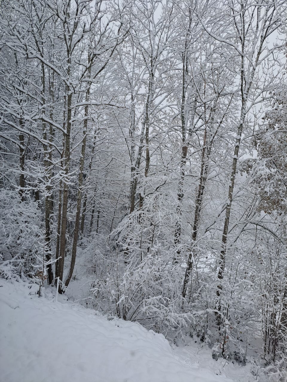 Snow and ski sports