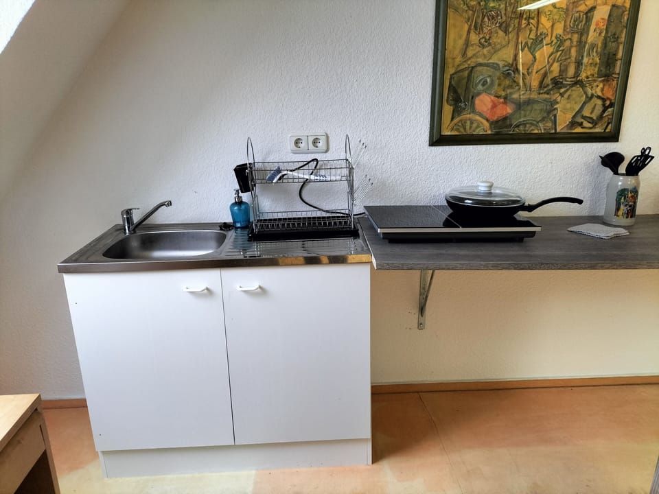 Küchenspüle mit Induktions-Kochplatten + Arbeitsplatte