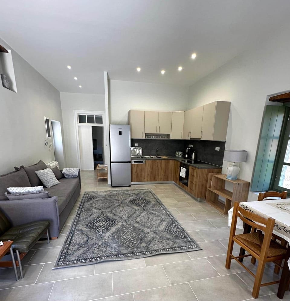 Kitchen / living / dining