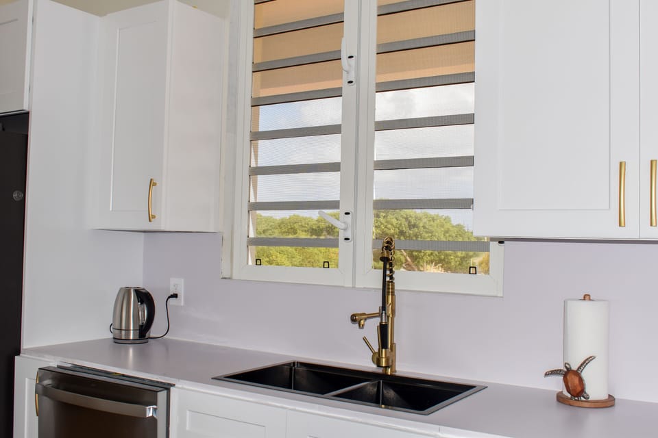 Kitchen sink with GE Monogram dishwasher and electric kettle