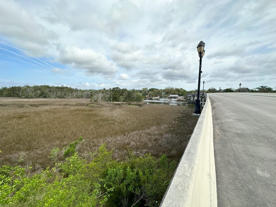 Salt Marsh view from Bridge.