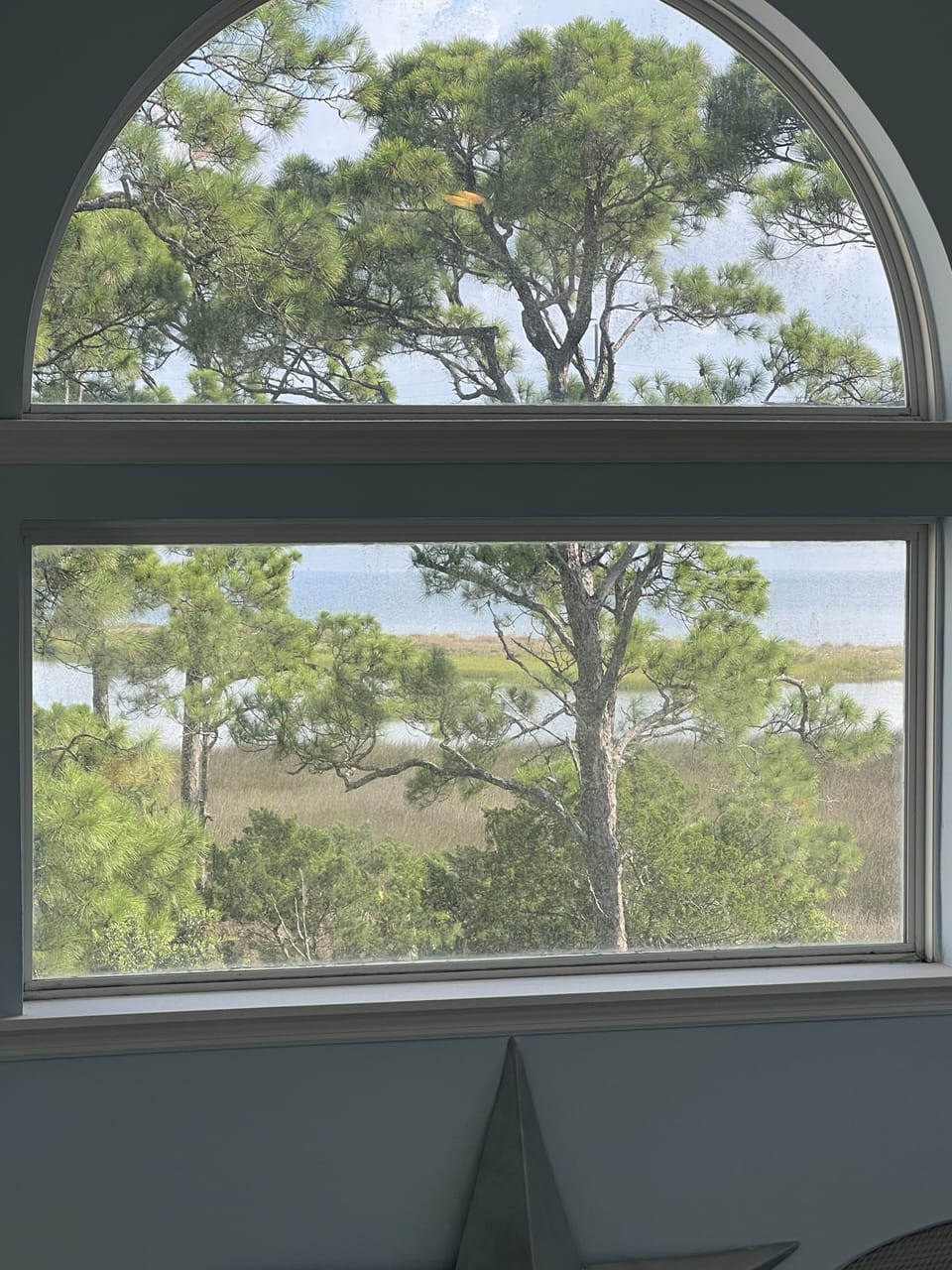 View from the living room
