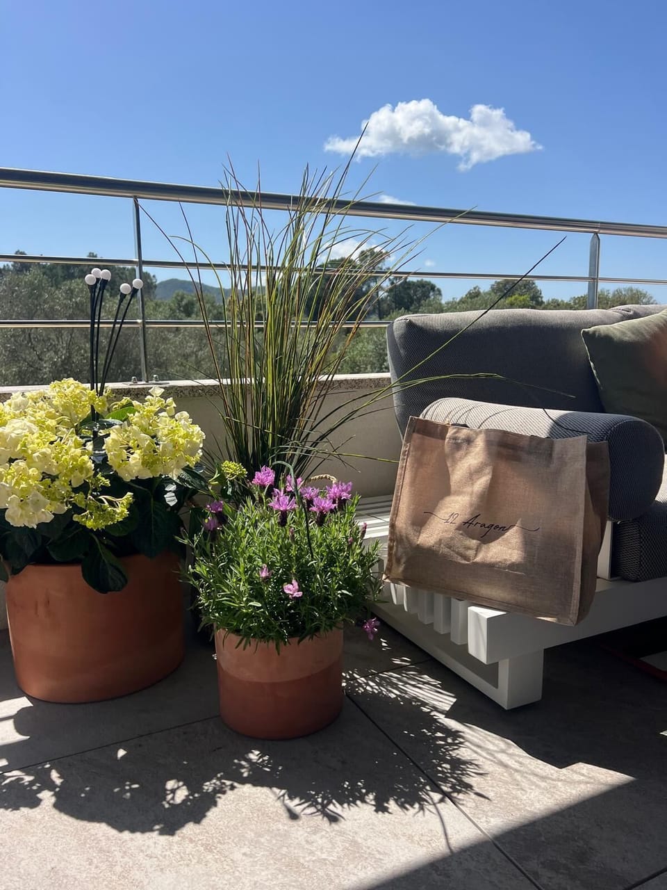 Terrace/patio