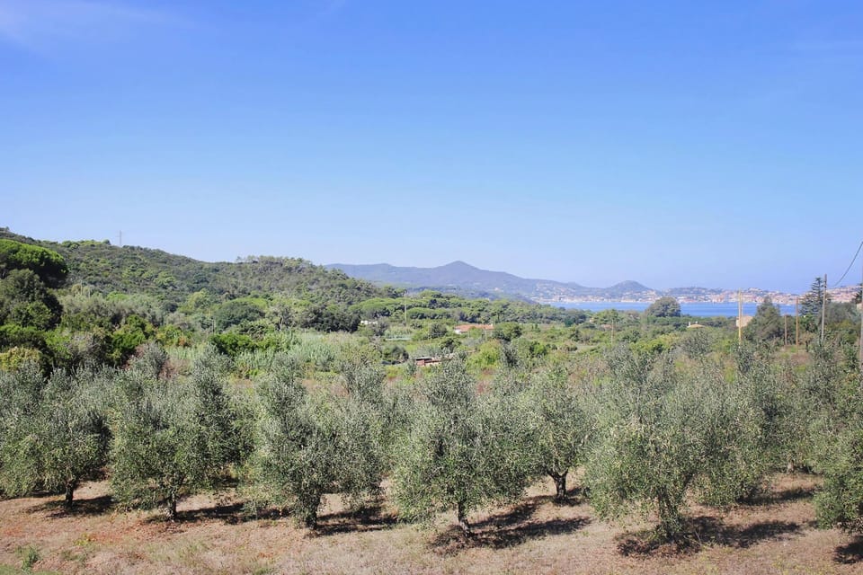 Immediate Surroundings [summer] (<1 km)