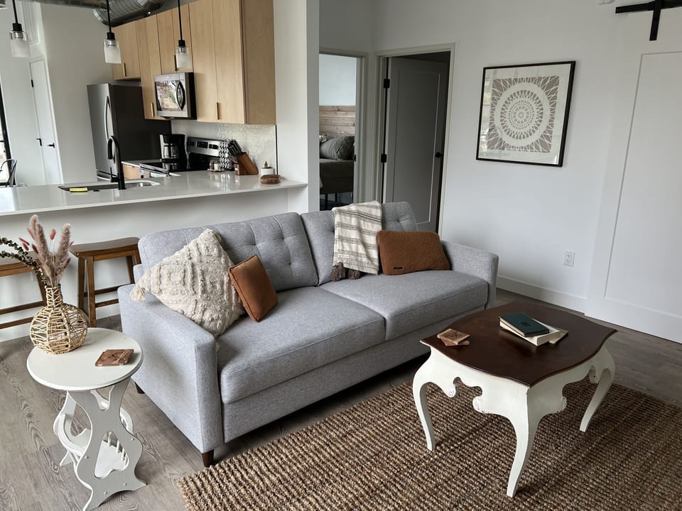 Comfy pullout sofa