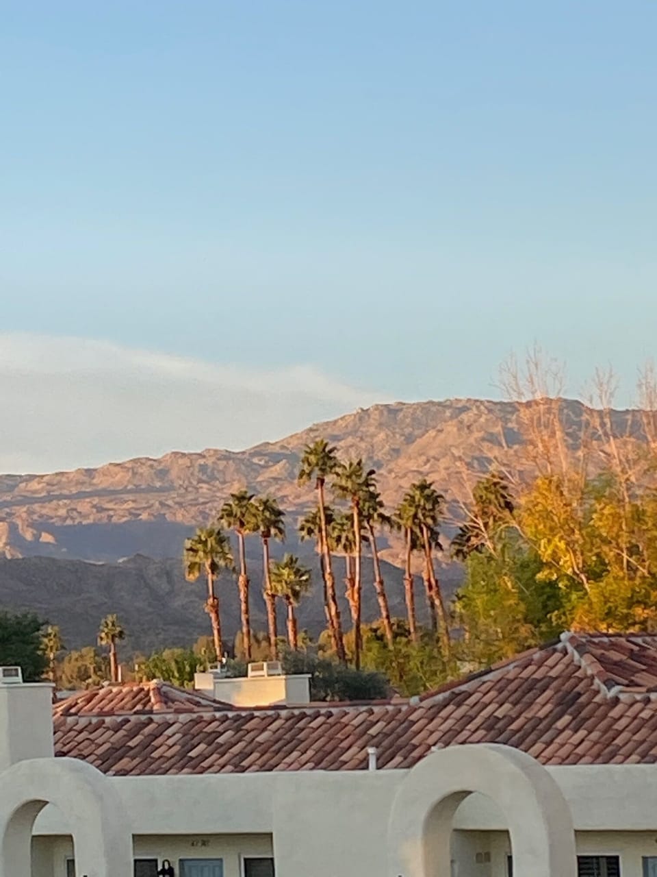 View from property