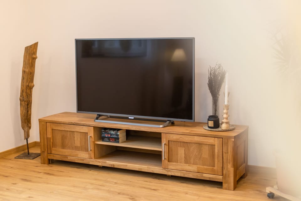 Television