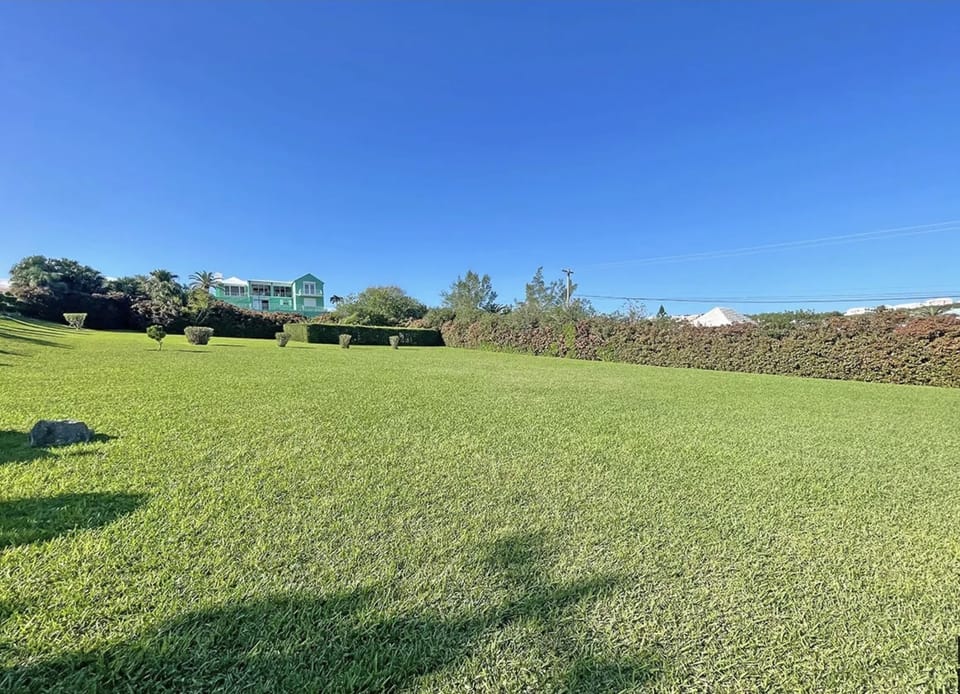 Large lawn on property