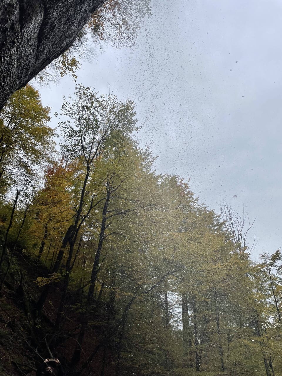 Miscellaneous