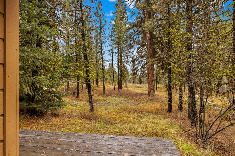 View of from the back deck