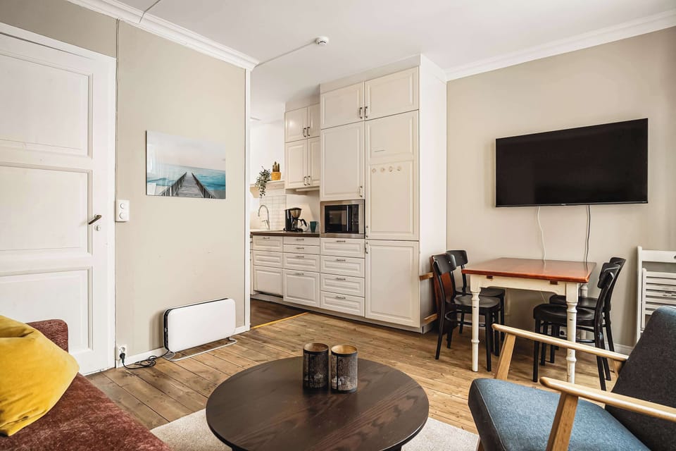A compact yet functional space combining living comfort, entertainment, and cooking essentials.
