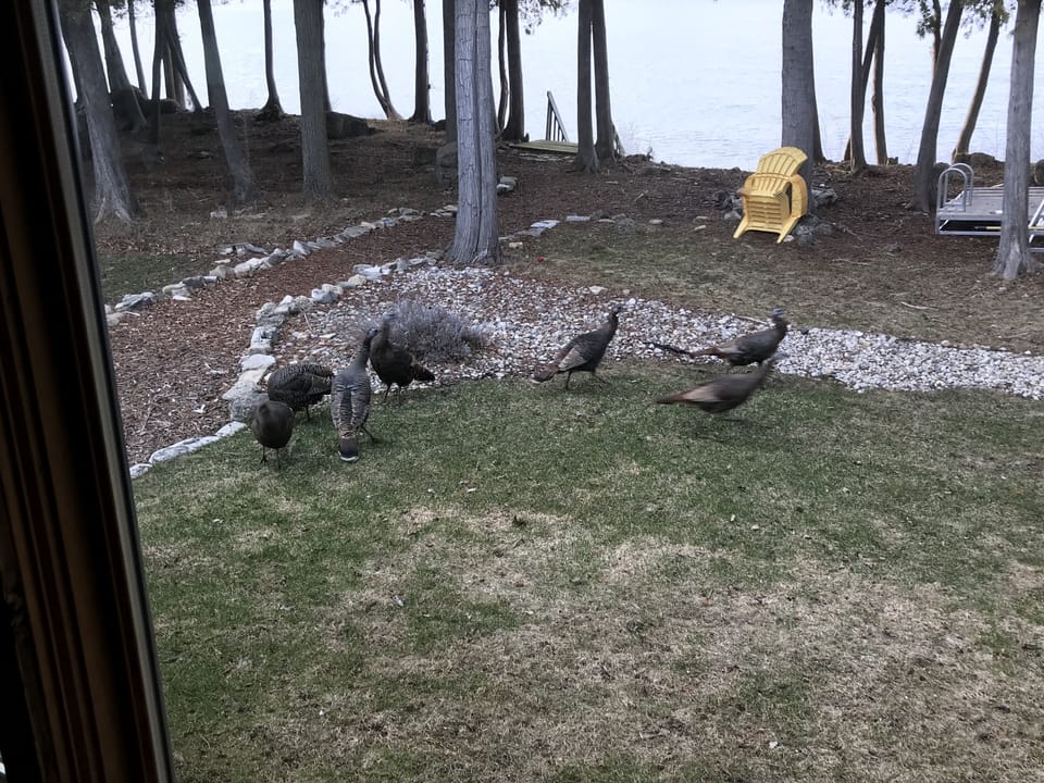 View from property
