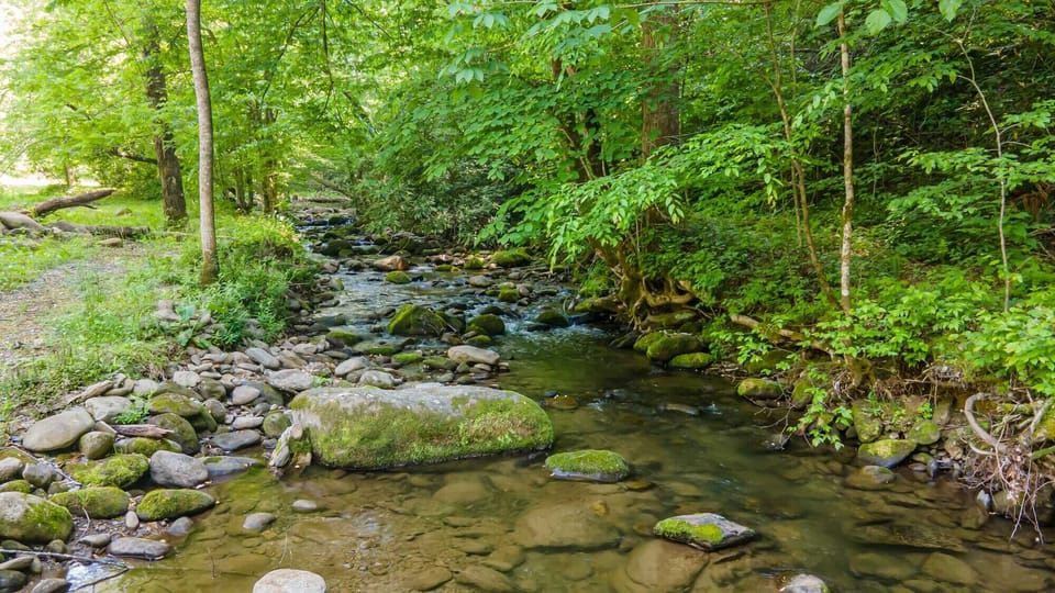 Creek