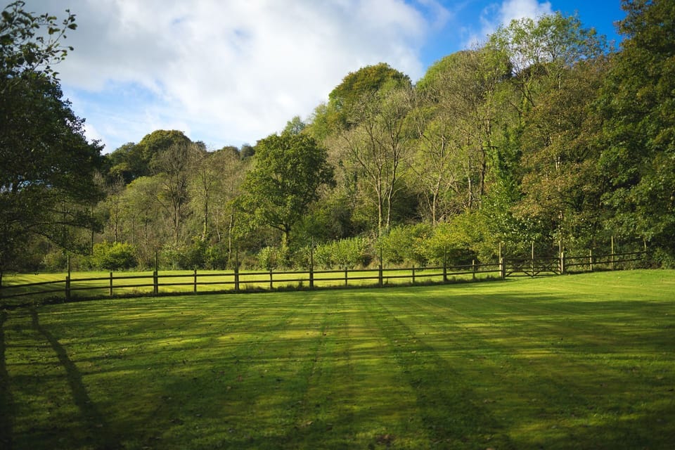 Field