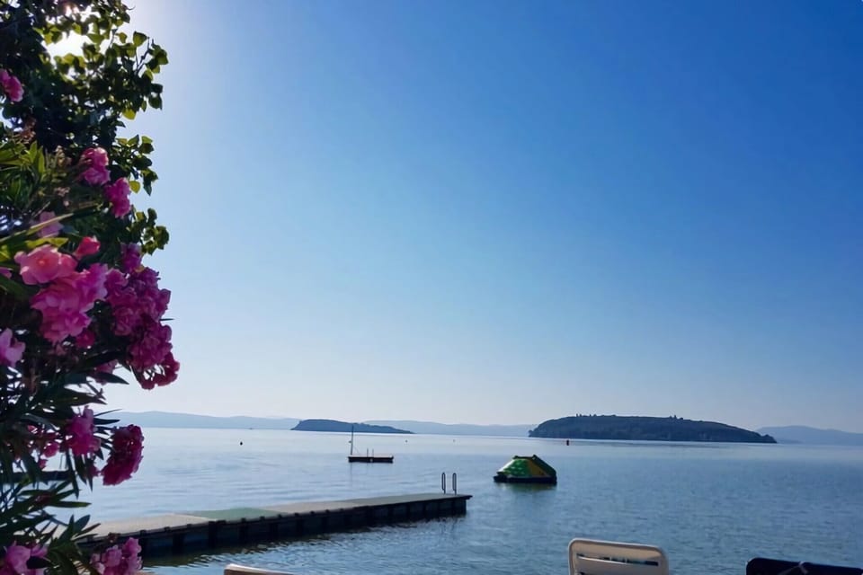 Surroundings [summer] (1-5 km)