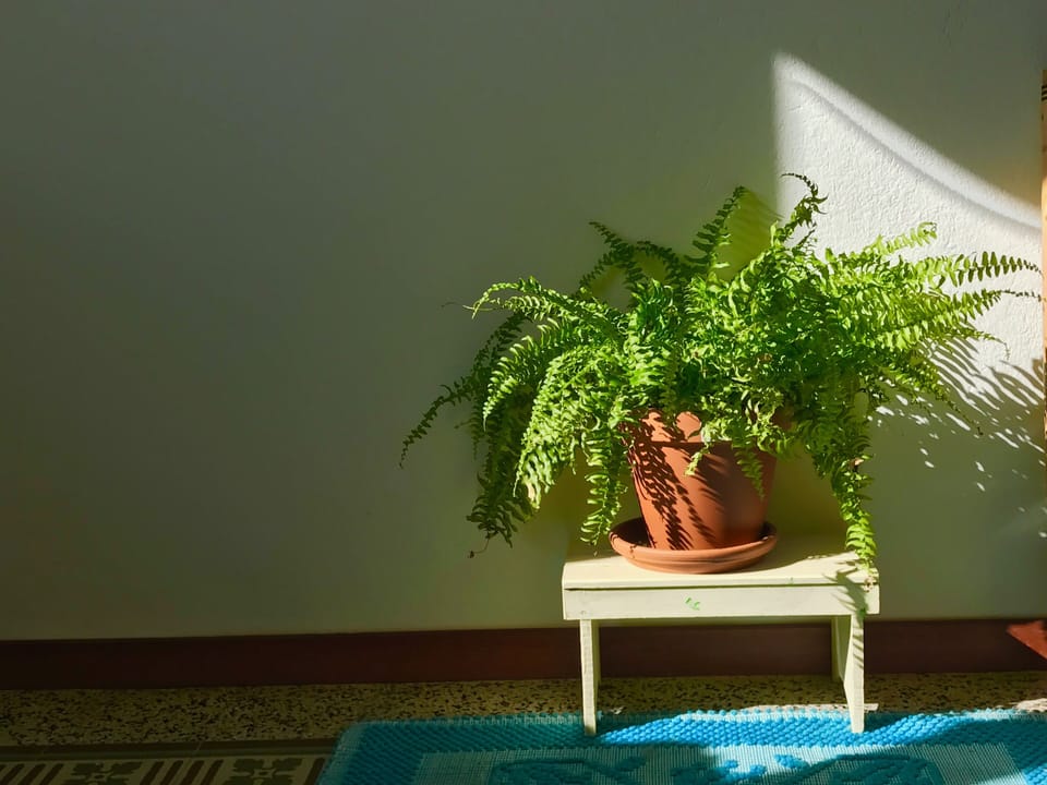 Interior detail