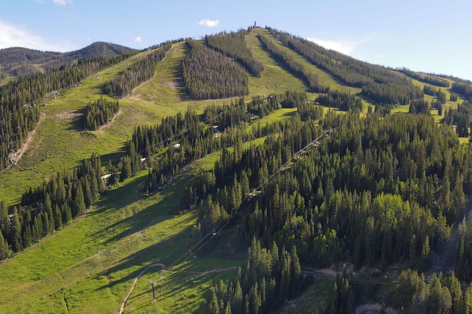 - Stunning mountain slopes with lush green forest trails   - Perfect for hiking, biking, or winter skiing adventures   - Gorgeous natural landscape showcasing alpine beauty