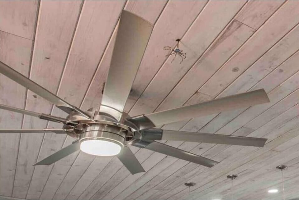 As you spend time in this condo you will find hidden pieces of art. 