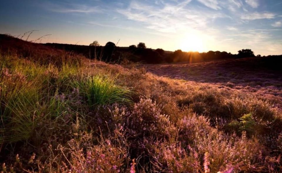 Region [summer] (>5 km)