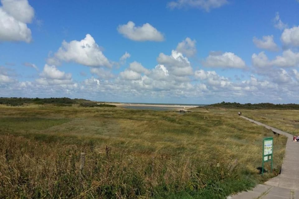 Region [summer] (>5 km)