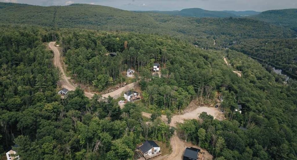 Bird’s-eye view of the forest setting