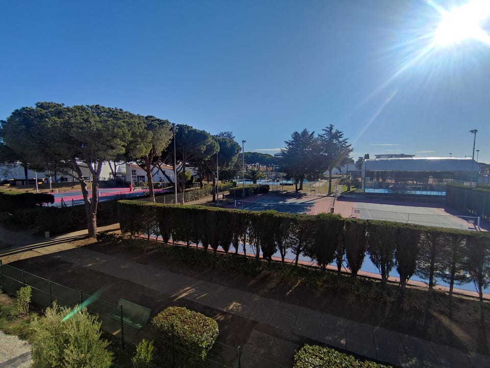 Sport court