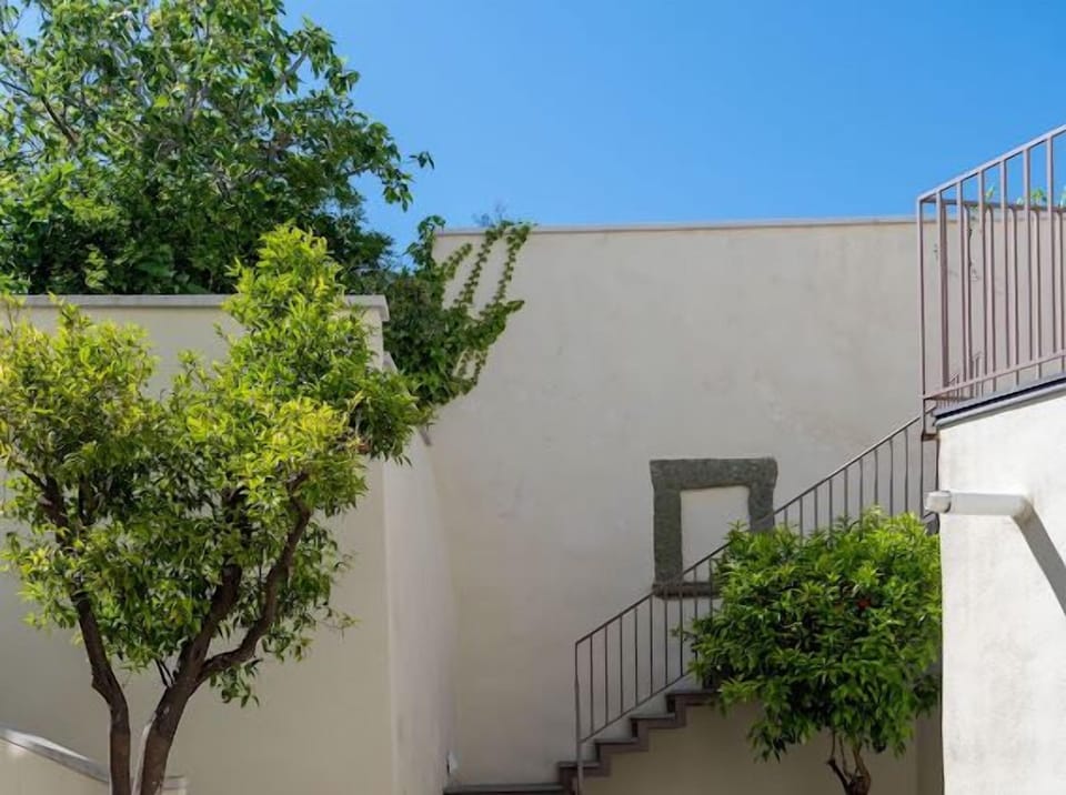 Casa Mimina Courtyard