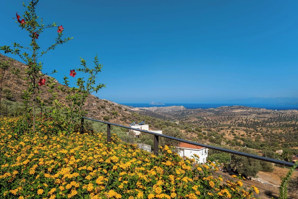 Panoramic View from the property