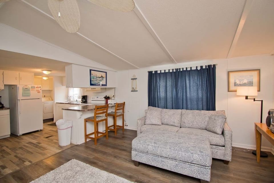 Living / Kitchen