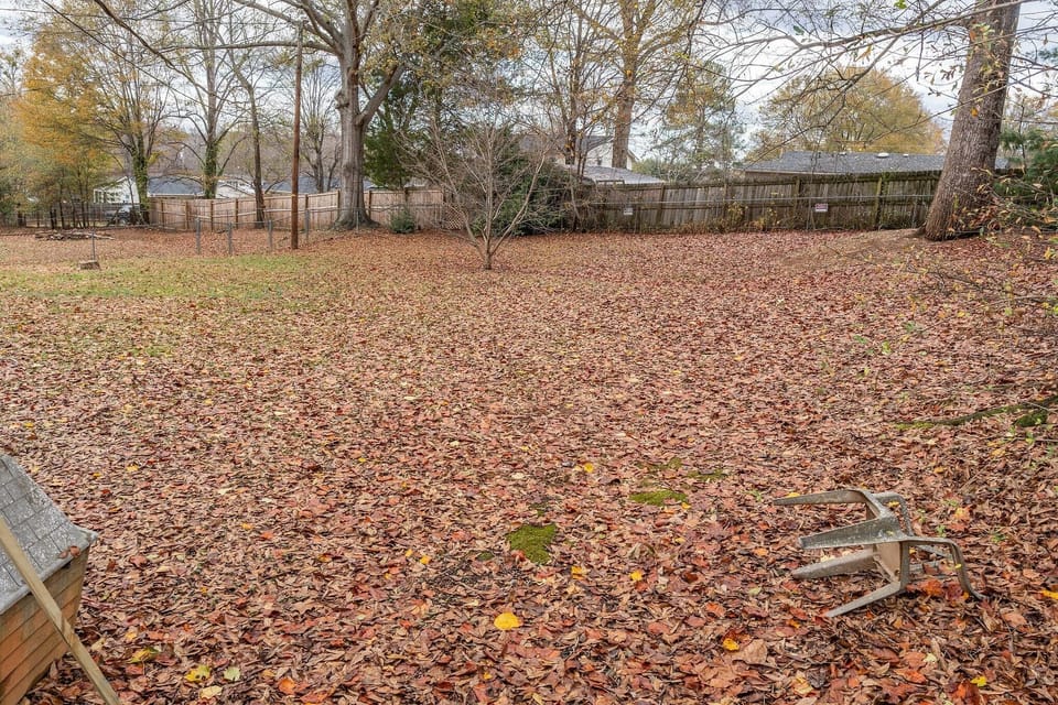 Ground, Tree, Outdoors, Grass, Nature