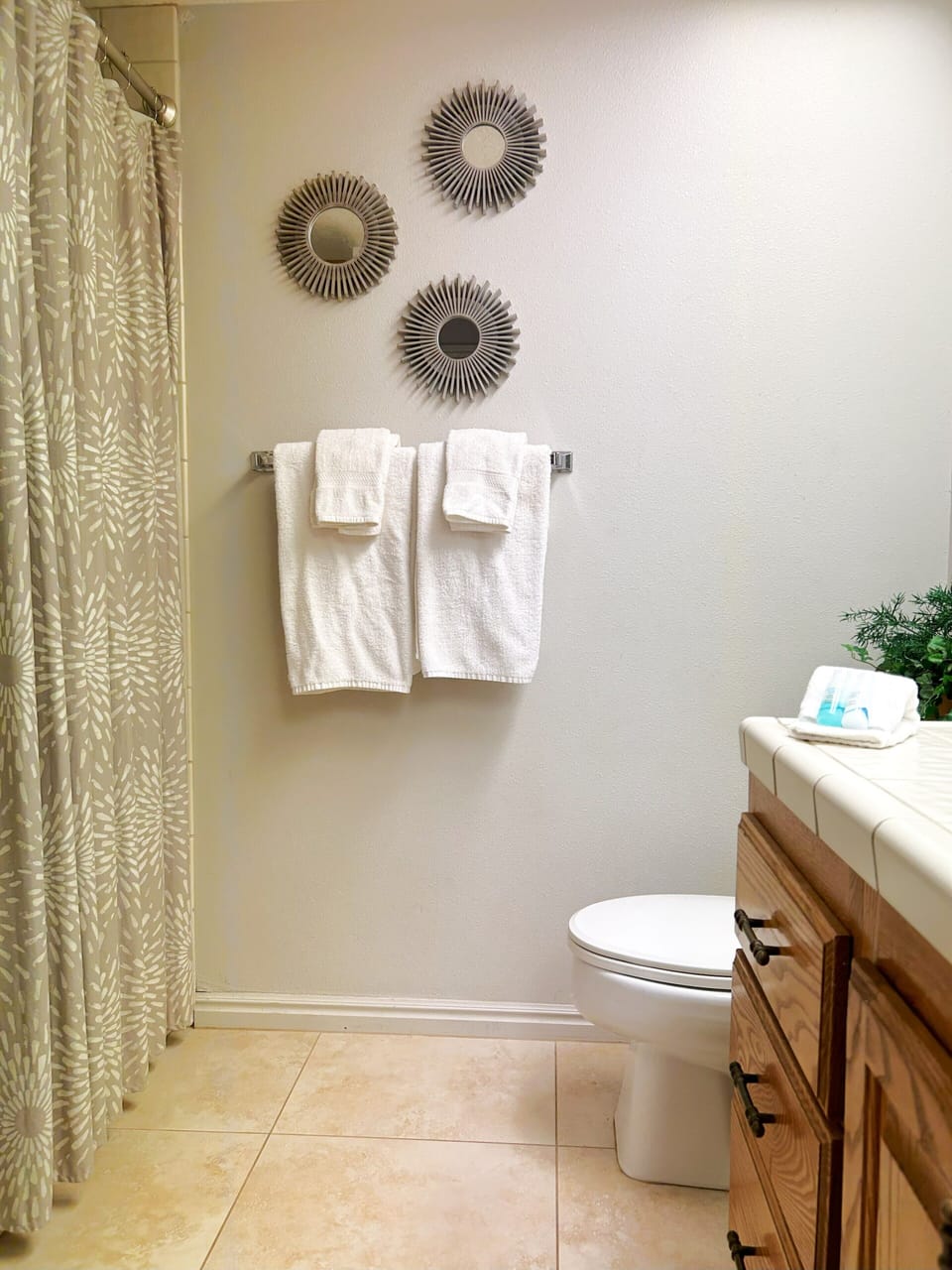 Guest bathroom