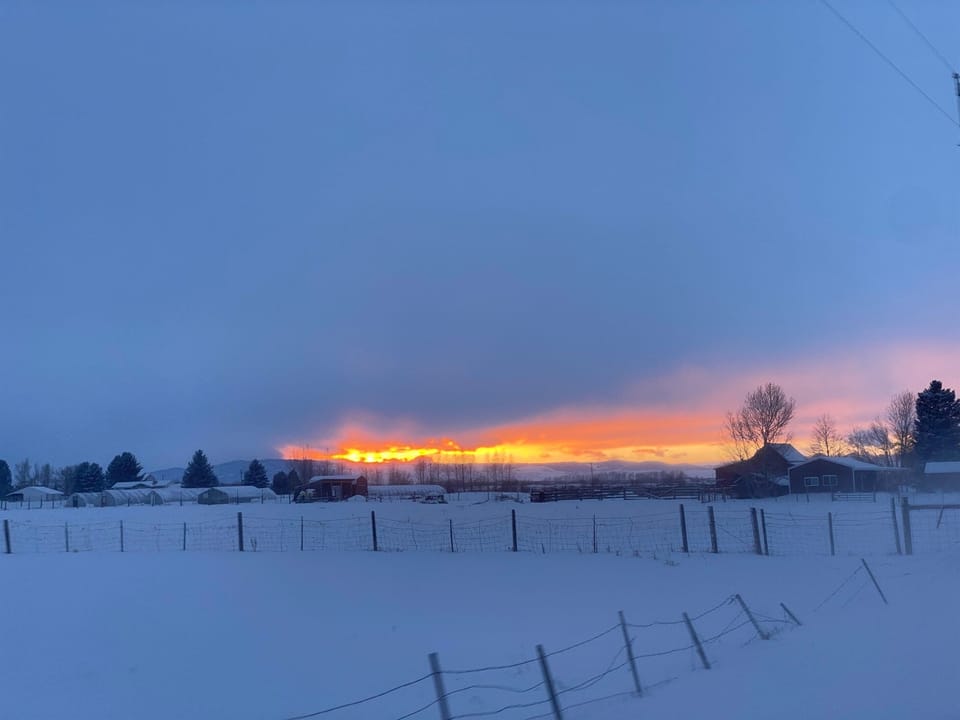 The Granary property views.