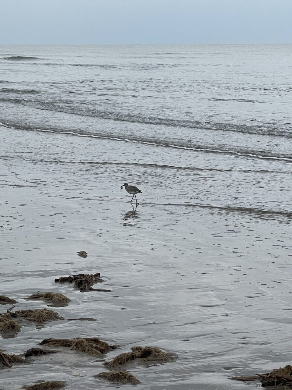 Walk on the beach 