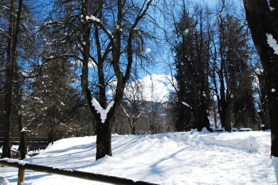 Region [winter] (>5 km)