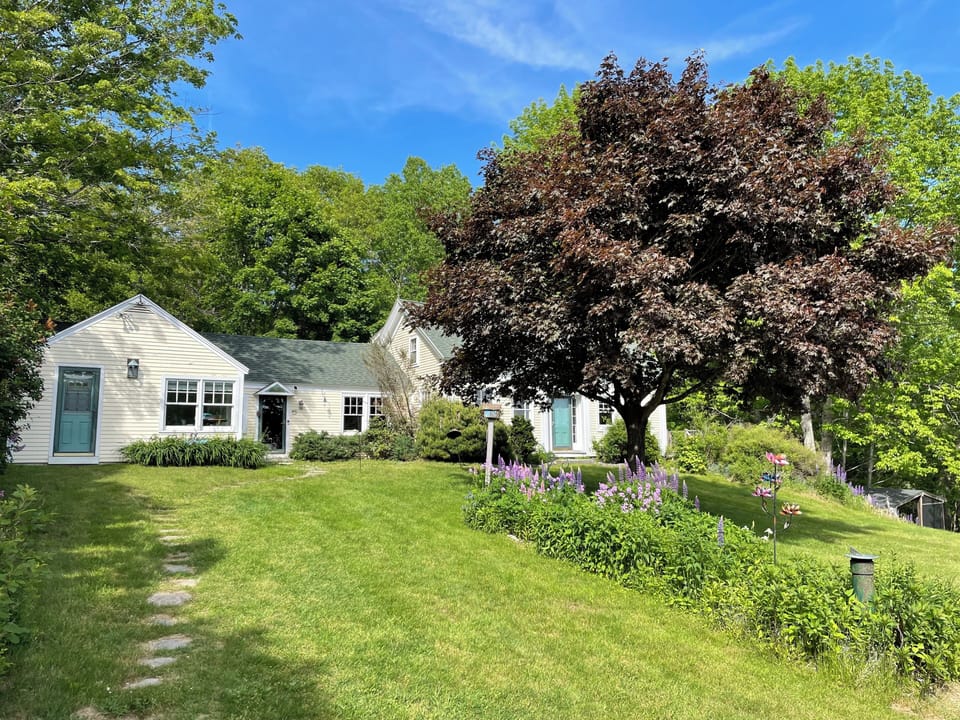 Front view