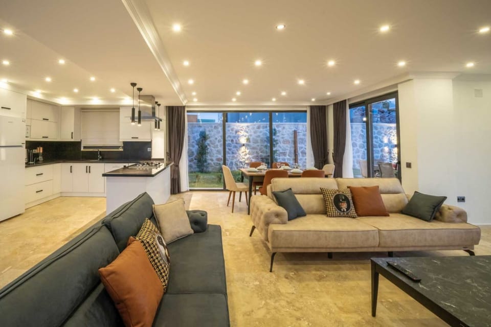 Modern luxury of kitchen%2Fliving area
