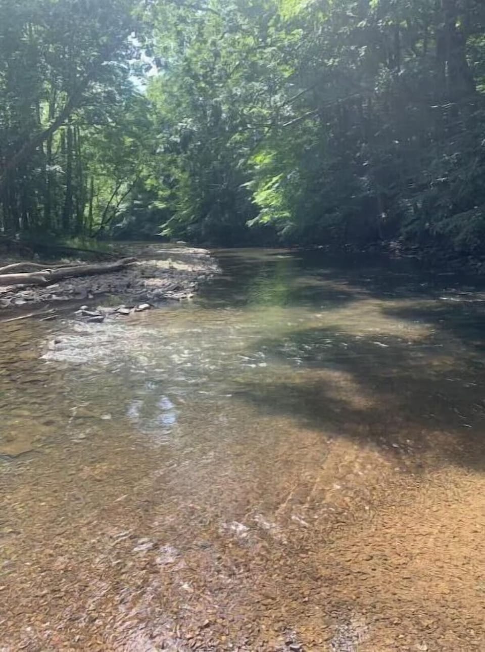 The Clear Fork River below the cabin