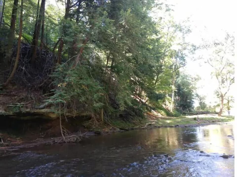 Clear Fork River below the cabin