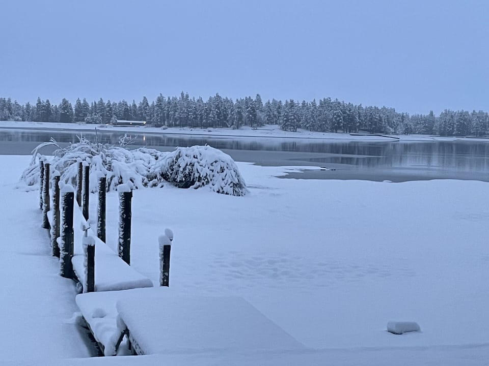 Winter
