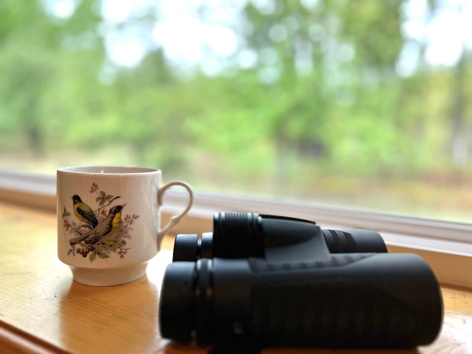 We love to watch for birds out of the picture window.