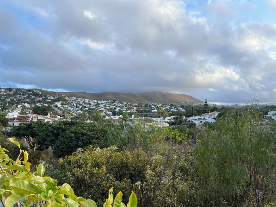 View from the sunroom